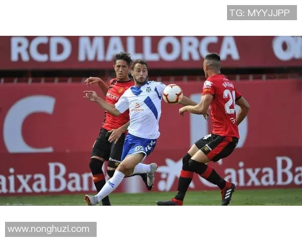 西甲保级大战皇家奥维耶多迎战马洛卡争夺关键积分之战